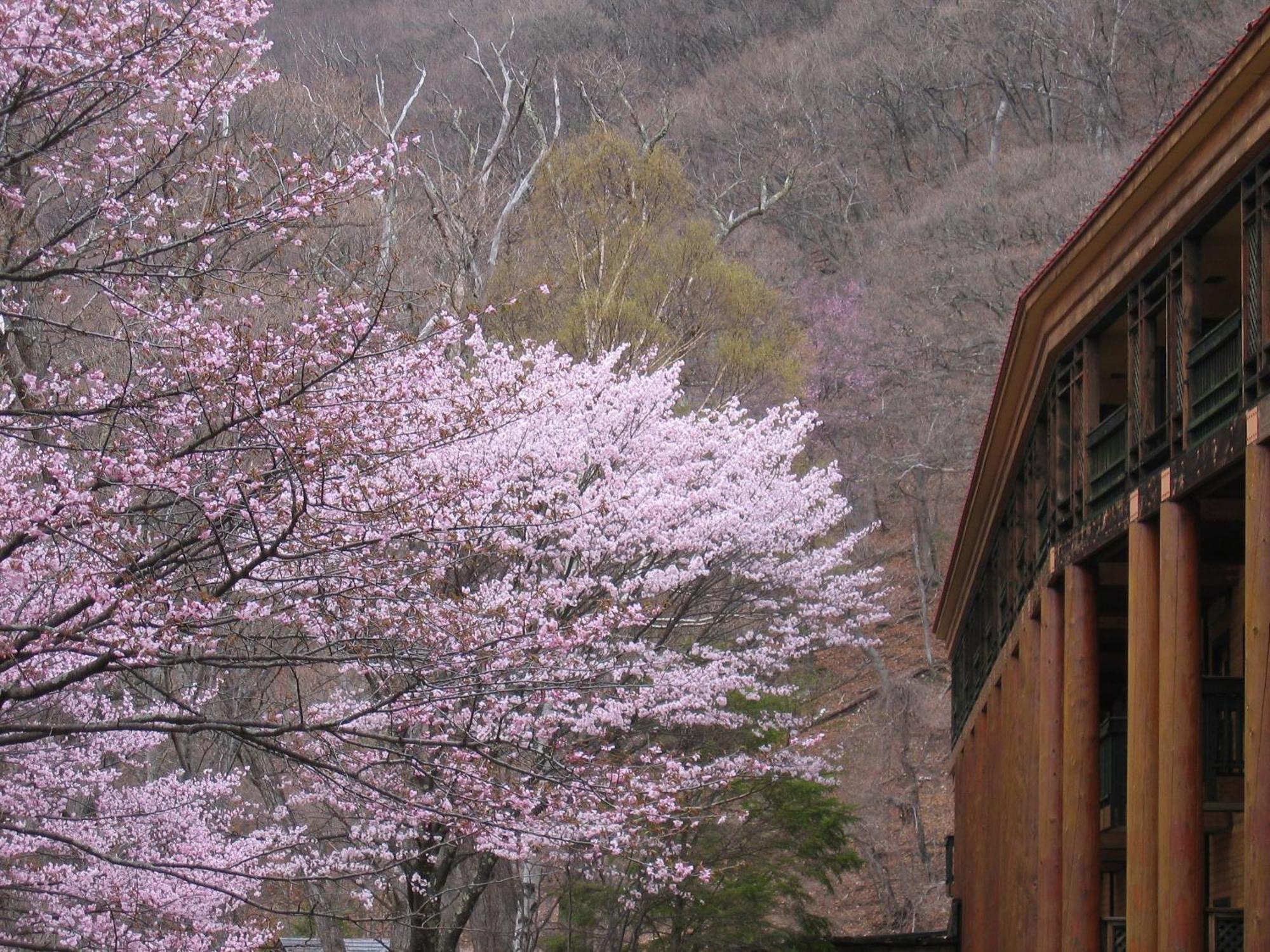 Chuzenji Kanaya Hotel Nikko Buitenkant foto