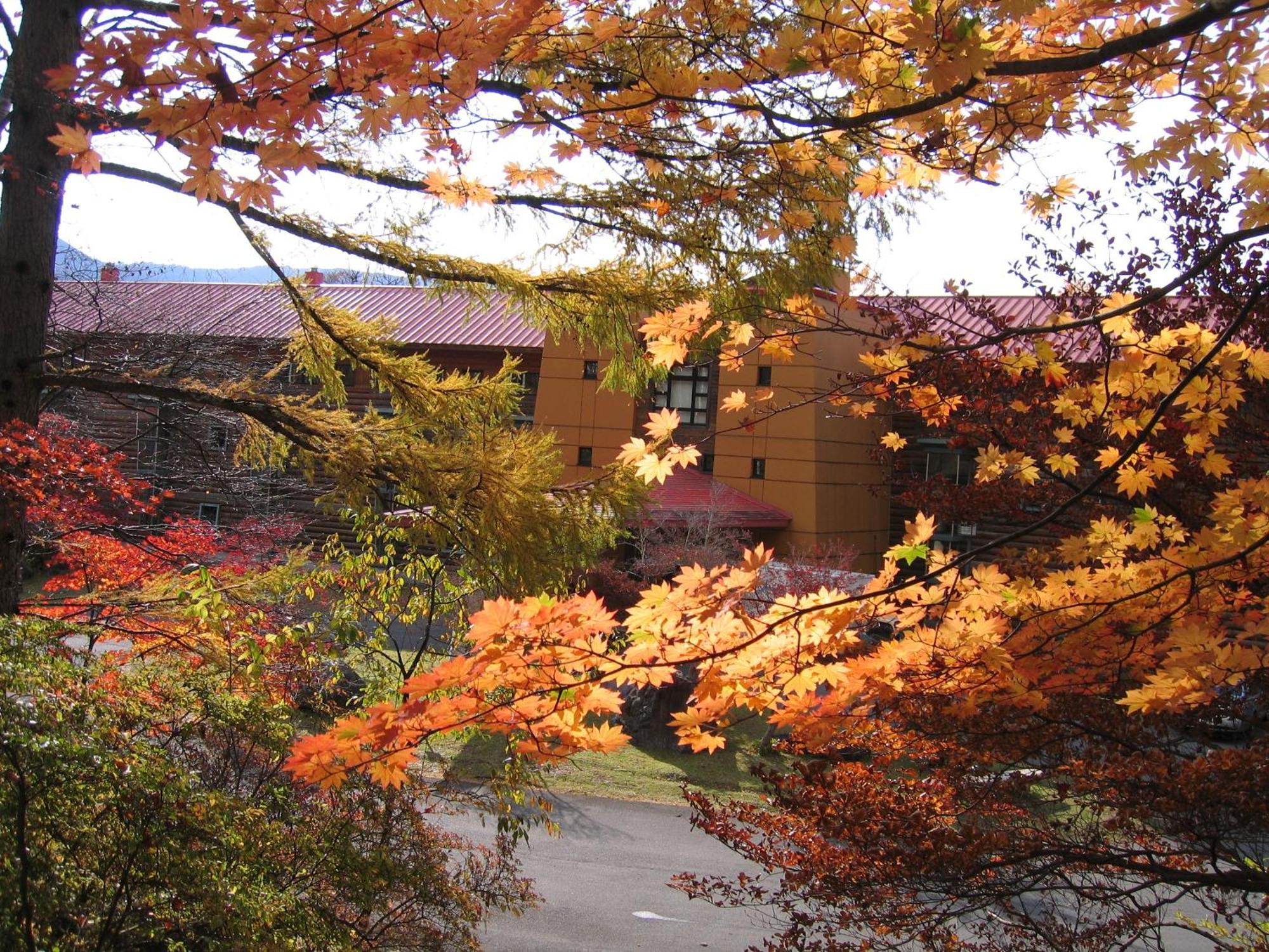 Chuzenji Kanaya Hotel Nikko Buitenkant foto